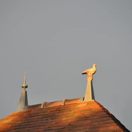 Saint-pourcain-sur-sioule, 2 Pieces, 2 Personnes - Fr-1-489-30 Saint-Pourçain-sur-Sioule